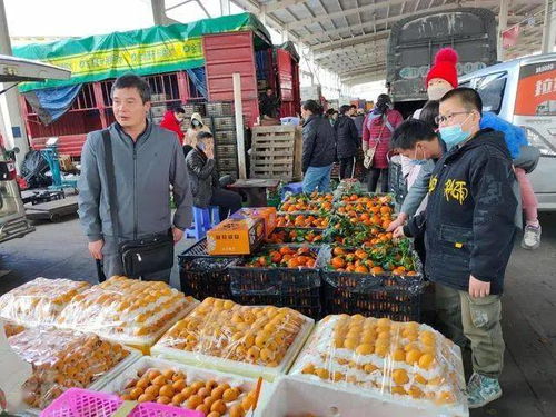 2021中国水果国际贸易发展报告